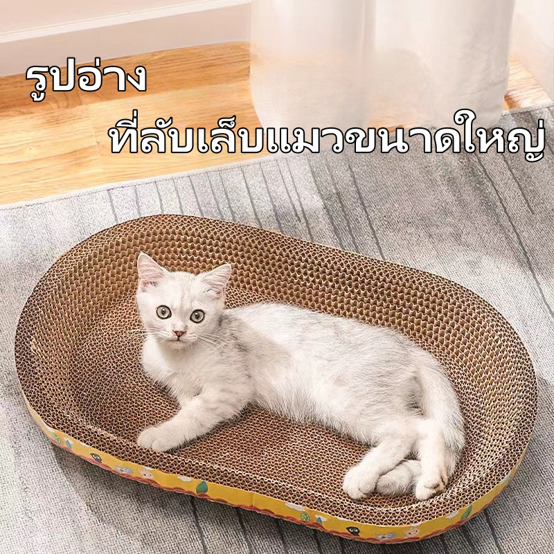 กระดาษลับเล็บวงรี  ที่ลับเล็บแมว รูปอ่าง ที่ฝนเล็บแมว ของเล่นแมว เป็นที่นอนแมวไปในตัว ฟรี แคปนิท  ( มี 4 ขนาด ) - ภาพที่ 5
