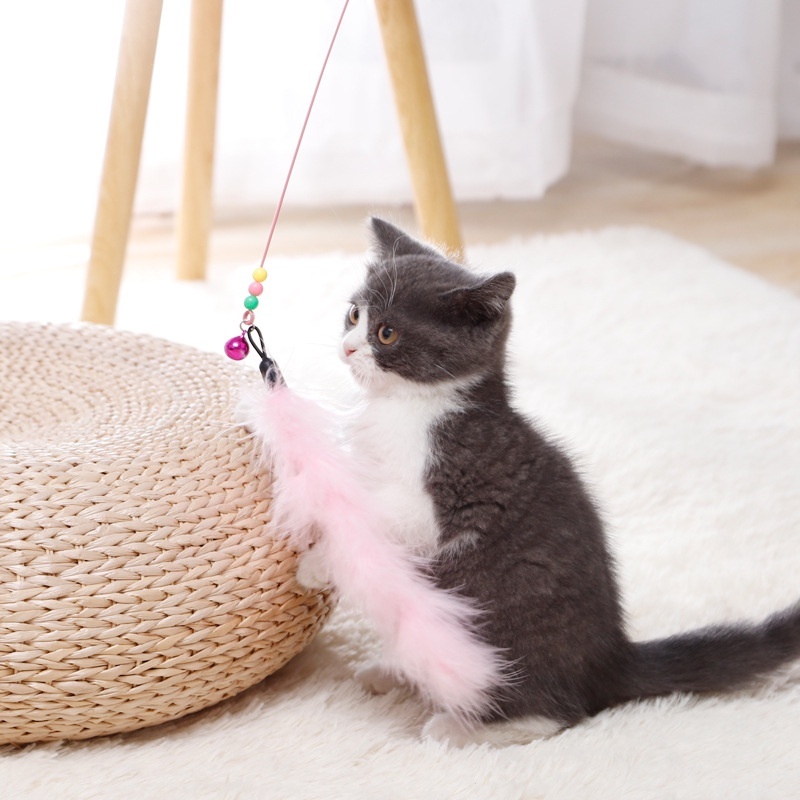 ของเล่นแมว ไม้ตกแมว หลายสี ไม้ตกแมวแบบสปริง ไม้ล่อแมว แบบลวดสลิง - ภาพที่ 3