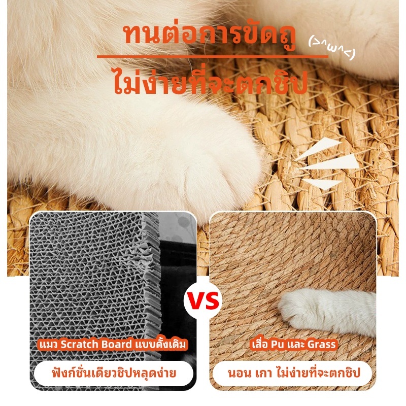 Winky Wink วงกลมพรมลับเล็บแมว 3 in 1 แผ่นลับเล็บแมว กันข่วน ของเล่นแมว ที่นอนแมว กันข่วน - ภาพที่ 4