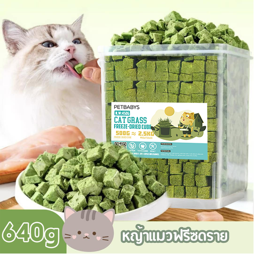 หญ้าแมวฟรีซดราย ขนมแมว 640กรัม ขนมหญ้าแมวบำรุงขน อกไก่ผสมต้นอ่อนข้าวสาลีฟรีซดราย โปรตีนสูง - ภาพที่ 3