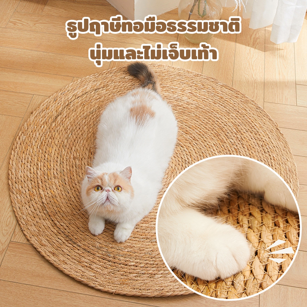 Winky Wink วงกลมพรมลับเล็บแมว 3 in 1 แผ่นลับเล็บแมว กันข่วน ของเล่นแมว ที่นอนแมว กันข่วน - ภาพที่ 3