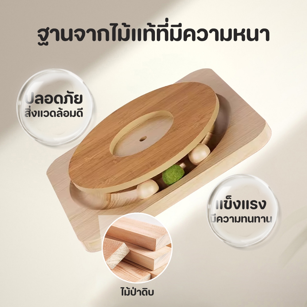 TUBI รังแมวแคปซูลอวกาศ ของเล่นแมว หลุมแมว อะคริลิค พร้อมรางบอลแบบรางไม้ โดมแมว หลุมอวกาศ2in1คอนโดแมว - ภาพที่ 6