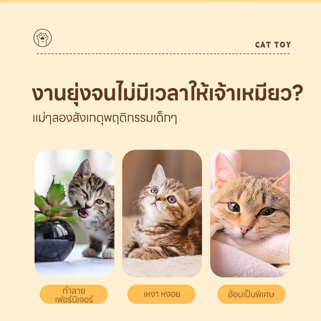 yoyopet : Cat Teaser ไม้ล่อแมว คฑานางฟ้า ไม้ตกแมวเจ้าหญิง น่ารัก ฟรุ้งฟริ้ง ของเล่นแมว สายรุ้ง - ภาพที่ 3