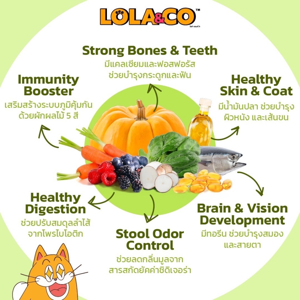 (1kg)Lola&Co โลล่าแอนด์โค อาหารเม็ดแมว สำหรับแมวโต ขนาด 1 kg. - ภาพที่ 4