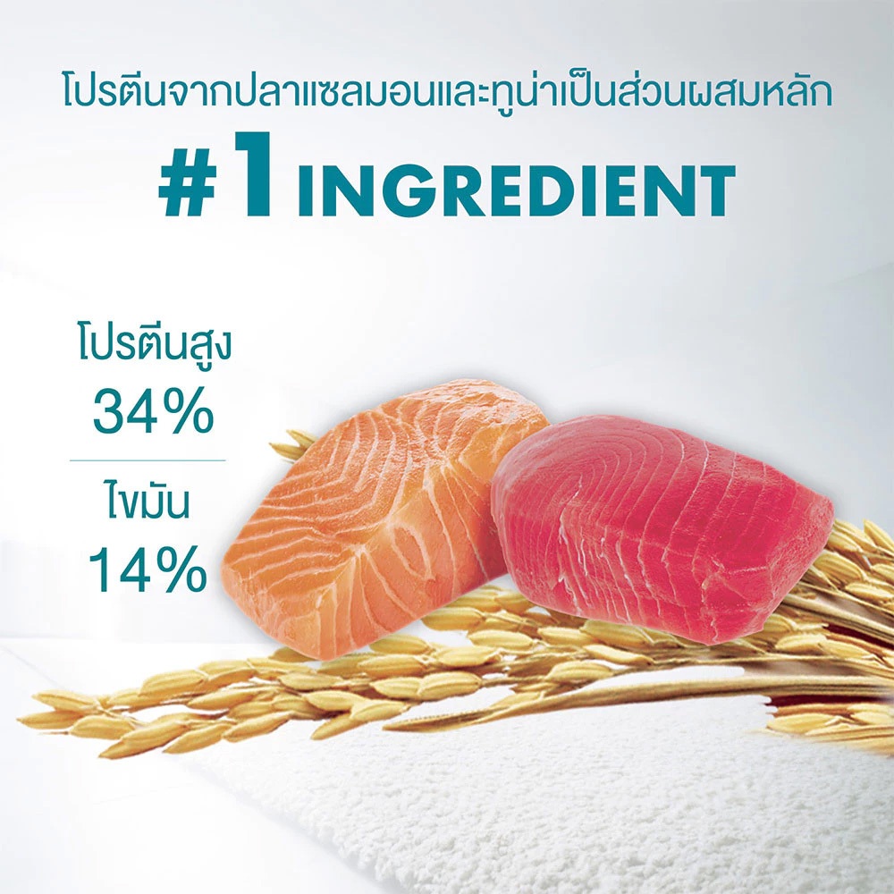 [PETClub] 💥สูตรใหม่💥PURINA ONE อาหารแมว ขนาด 2.7kg. มี 10 สูตร สูตรอัพเกรด! - ภาพที่ 3