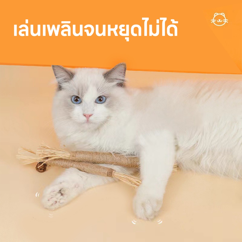 yoyopet : ไม้มาทาทาบิ ขัดฟันแมว ไม้เเมวเมา แบบเชือก ขัดฟันแมว ลดคราบหินปูน ของเล่นสําหรับสัตว์เลี้ยง