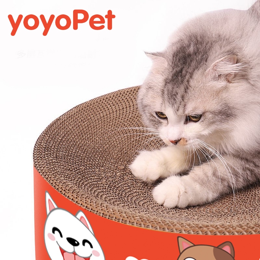 yoyopet : ที่ลับเล็บแมว+แคทนิป อ่างลับเล็บ ของเล่นแมว ที่นอนแมว แผ่นลับเล็บ ที่ฝนเล็บสัตว์เลี้ยง