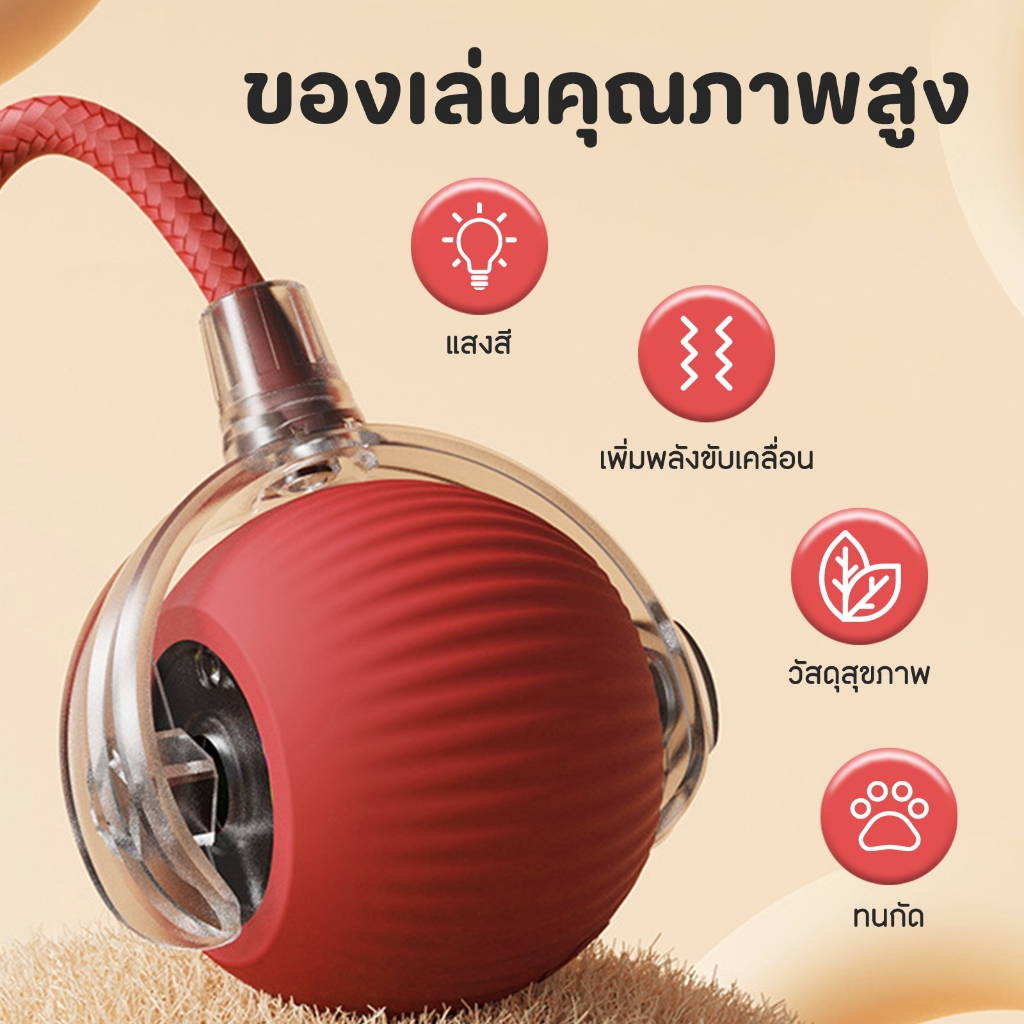 ลูกบอลแมว ของเล่นแมว ลูกบอลสุนัข หมุนได้360องศา เรืองแสง ของเล่นแมวอัจฉริยะ พร้อมสายชาร์จ - ภาพที่ 6