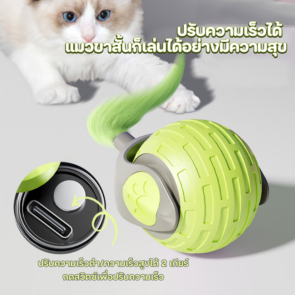 Winky Wink🐱ของเล่นแมวโต้ตอบ ของเล่นหมา บอลแมวอัตโนมัติ ชาร์ตแบตได้ สมาร์ทไฟฟ้า 360หมุนได้ ของใช้แมว Cat Teaser การฝึกอบร - ภาพที่ 6