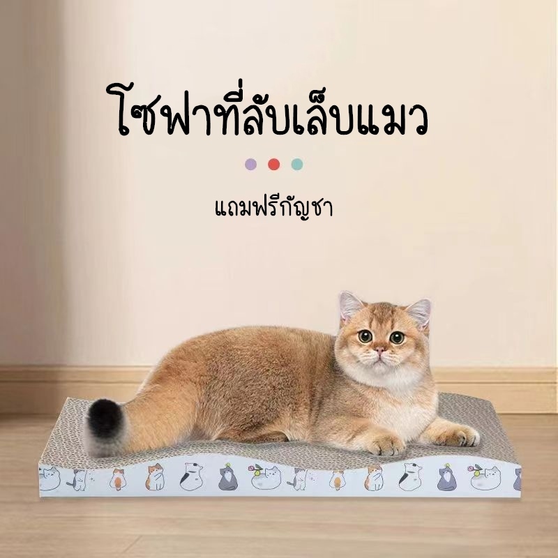 KTCAT ที่ลับเล็บแมว กระดานฝนเล็บแมว ของเล่นแมว ทำจากกระดาษลูกฟูก แข็งแรง ทนทาน ใช้งานได้ยาวนาน - ภาพที่ 3