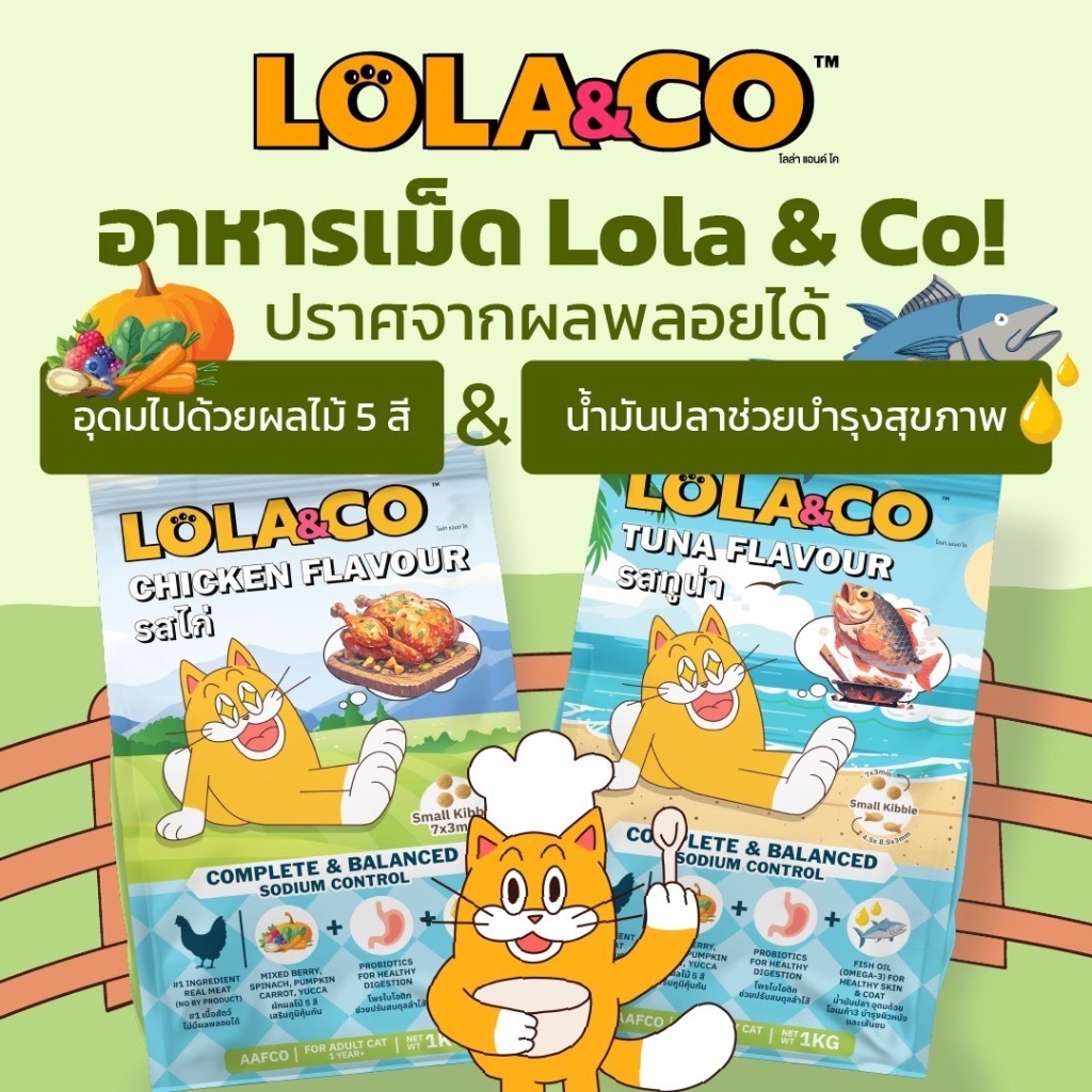 (1kg)Lola&Co โลล่าแอนด์โค อาหารเม็ดแมว สำหรับแมวโต ขนาด 1 kg. - ภาพที่ 3