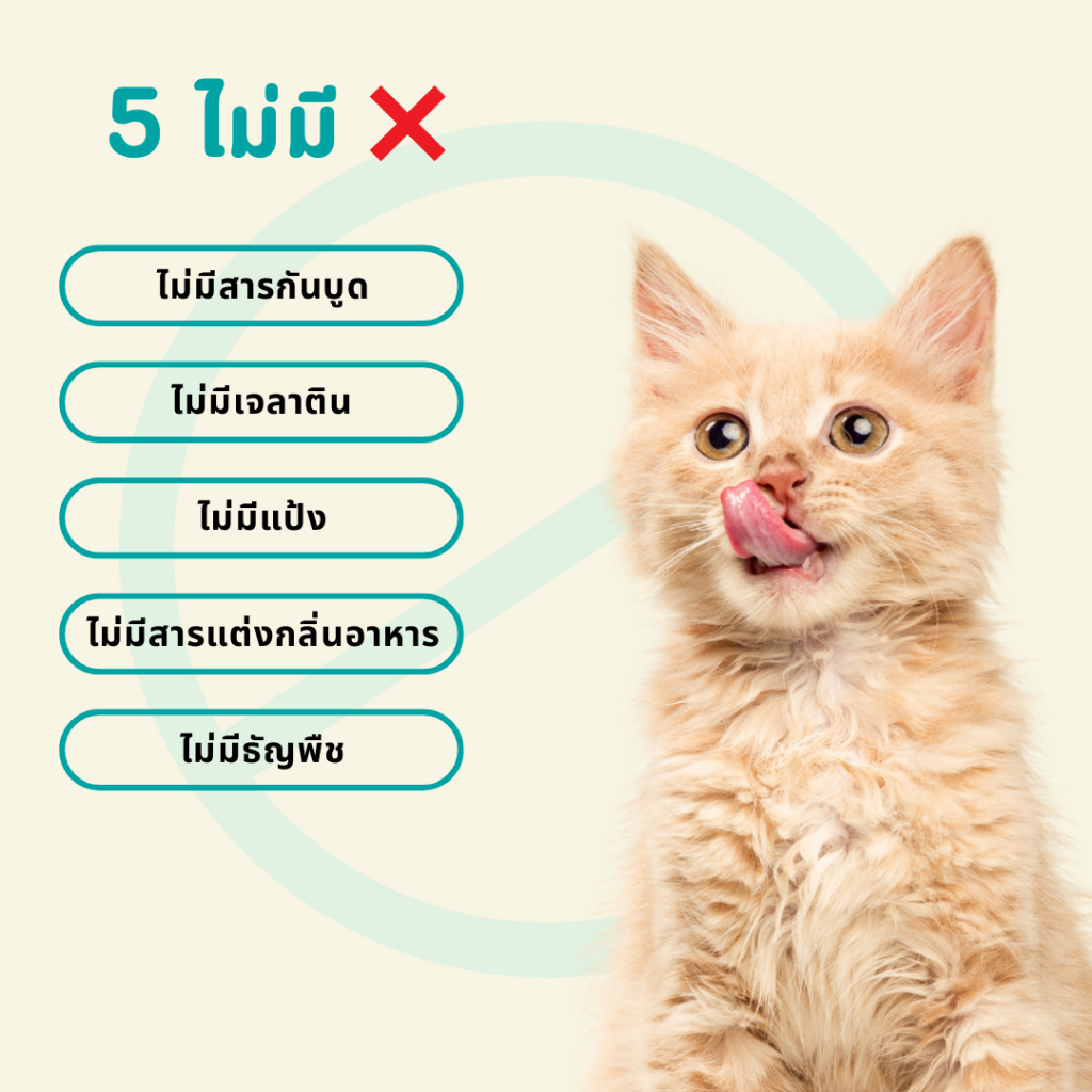 Bite of Wild ฟรีซดรายแซลมอน และปลาไข่ เหมาะสำหรับเป็นขนมเพื่อเสริมสร้างโภชนาการ - ภาพที่ 6