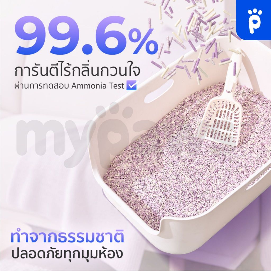 My Paws x Jiancha ทรายแมวเต้าหู้ กลิ่น ชาองุ่นเจี้ยนชา องุ่นเคียวโฮ เพิ่มเม็ดดับกลิ่น ละลายน้ำ ทิ้งลงชักโครกได้ 6ลิตร - ภาพที่ 5