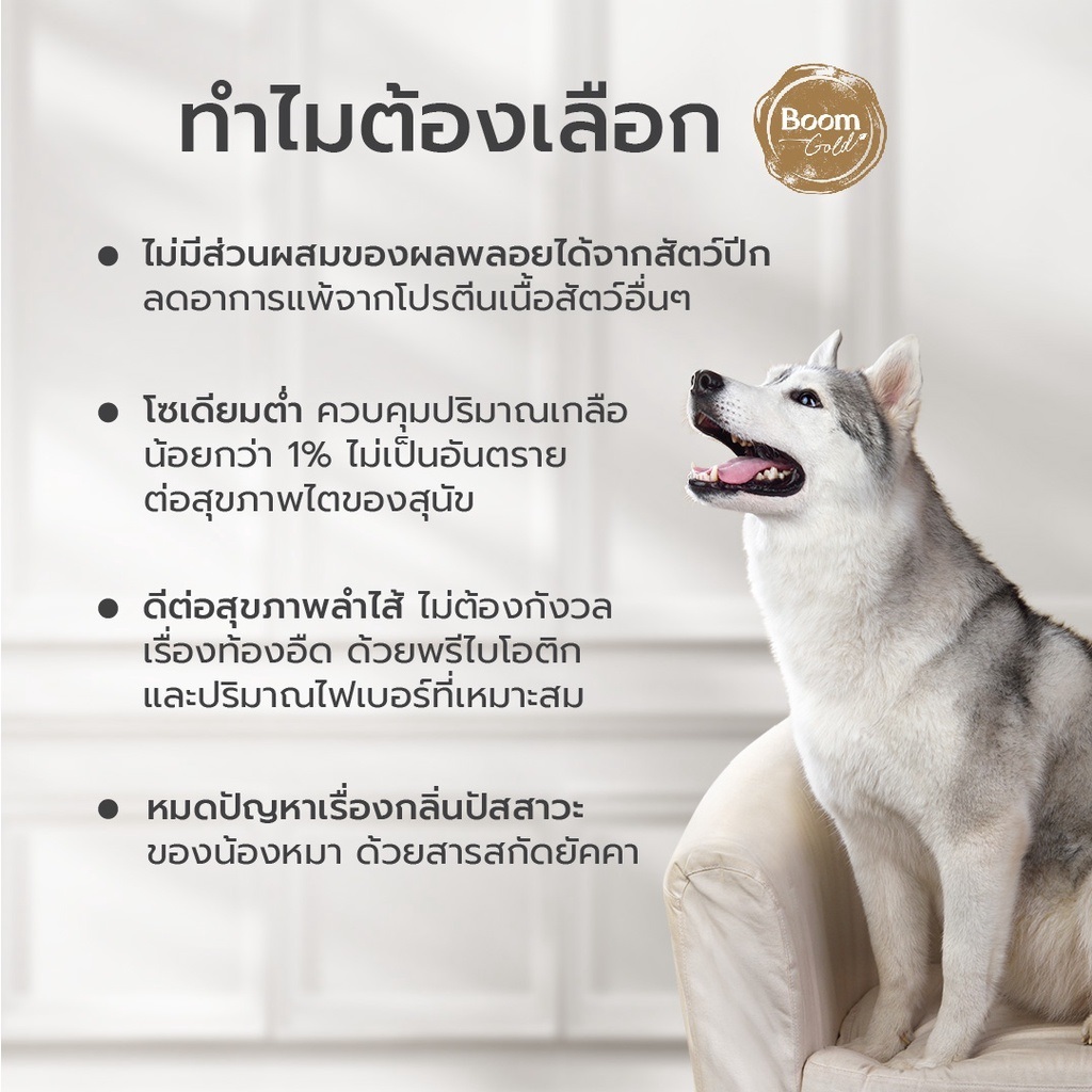 Boom Gold อาหารสุนัข รสเนื้อแกะ 10 KG เกรดพรีเมียม โปรตีนจากเนื้อสัตว์แท้ ช่วยบำรุงผิวหนังและขน ลดอาการแพ้ - ภาพที่ 4