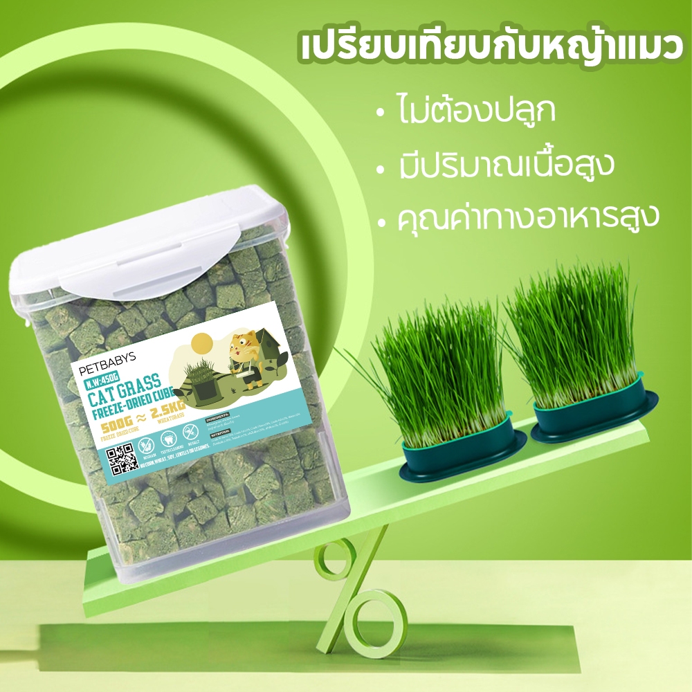 PETLUSCI® หญ้าแมวฟรีซดราย ขนมแมว 630กรัม ผสมอกไก่แท้ โปรตีนสูง ช่วยขับขนในลำคอ ขนมแมวฟรีซดราย - ภาพที่ 4