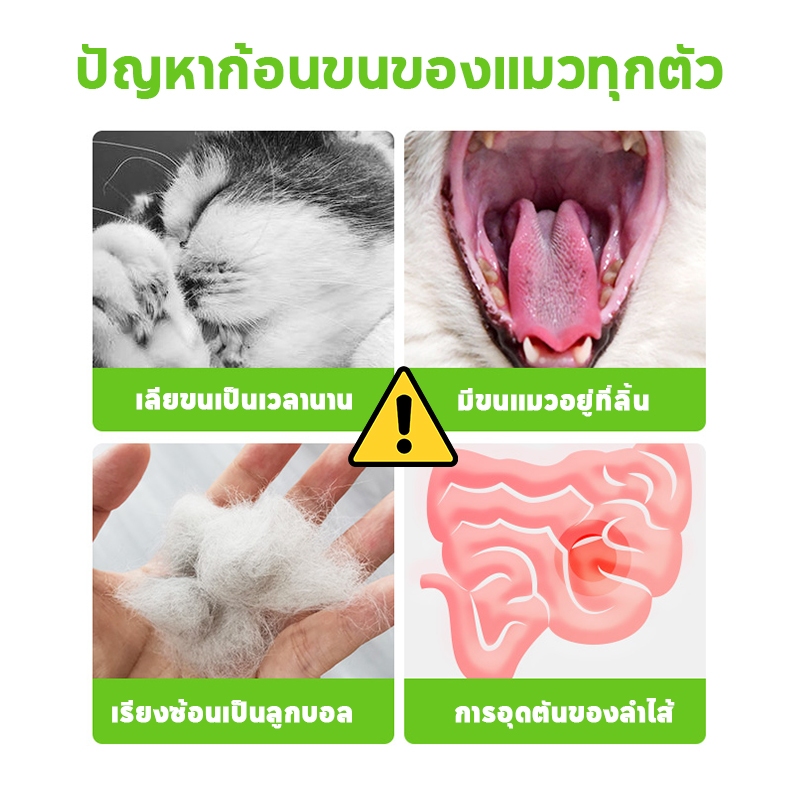 PETLUSCI® หญ้าแมวฟรีซดราย ขนมแมว 630กรัม ผสมอกไก่แท้ โปรตีนสูง ช่วยขับขนในลำคอ ขนมแมวฟรีซดราย - ภาพที่ 5