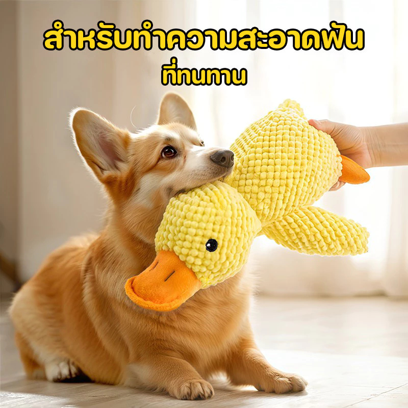 ของเล่นสุนัข ของเล่นแมว ตุ๊กตาเป็ดที่มีเสียงในตัว ของเล่นแบบโต้ตอบ (พร้อมส่ง) CW71 - ภาพที่ 5