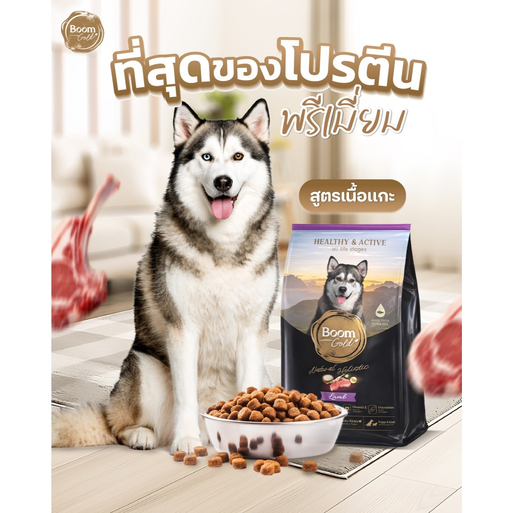 Boom Gold อาหารสุนัข รสเนื้อแกะ 10 KG เกรดพรีเมียม โปรตีนจากเนื้อสัตว์แท้ ช่วยบำรุงผิวหนังและขน ลดอาการแพ้ - ภาพที่ 3