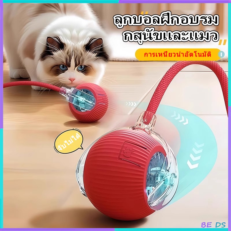 [BDS]ของเล่นแมว ลูกบอลแมว อัติโนมัติ หมุนได้ 360° โต้ตอบ เรืองแสง การชาร์จ USB ลูกบอลฝึกสุนัขและแมว ลูกบอลสัตว์เลี้ยง