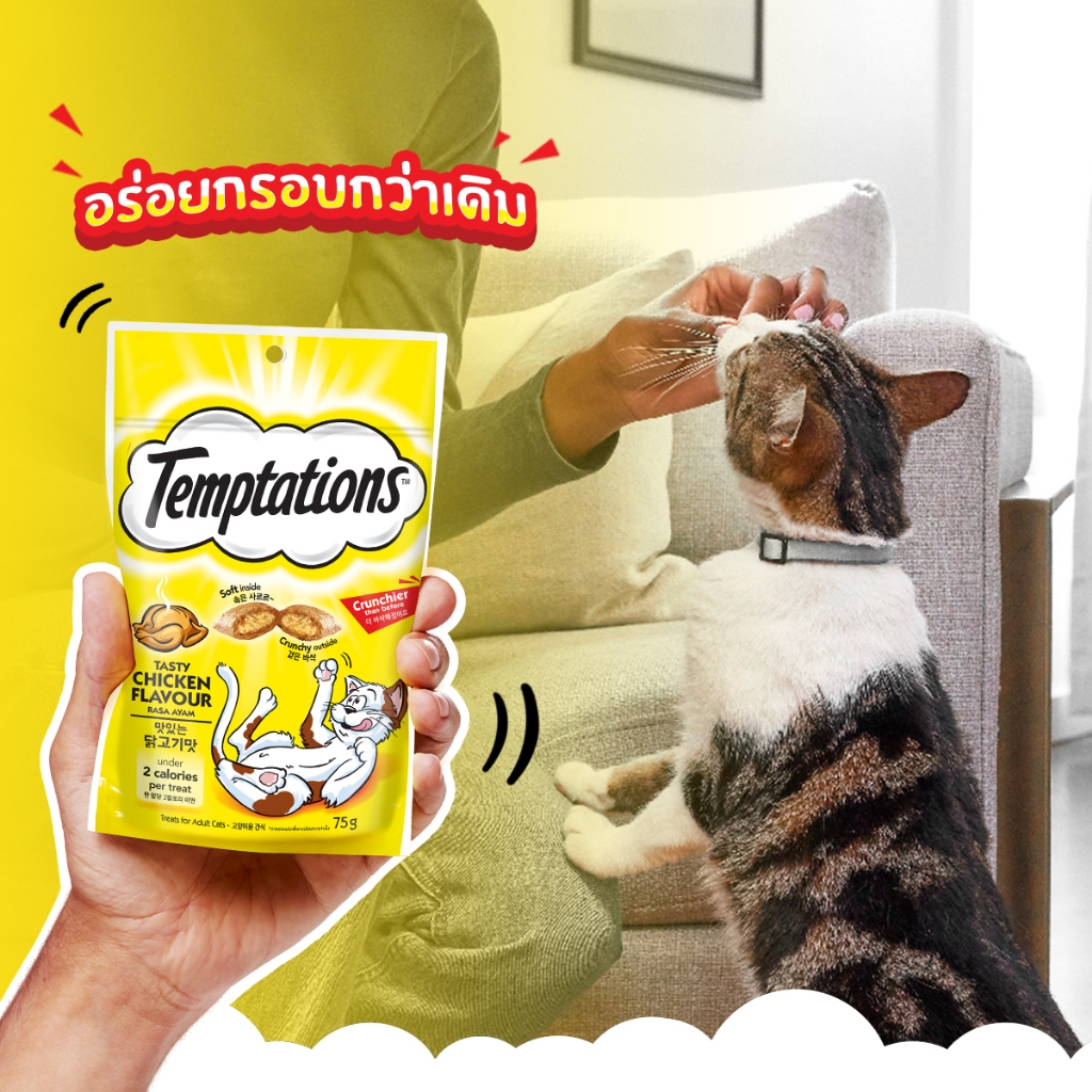 TEMPTATIONS ขนมแมวทุกรสชาติ 75 ก. (12 แพ็ก)