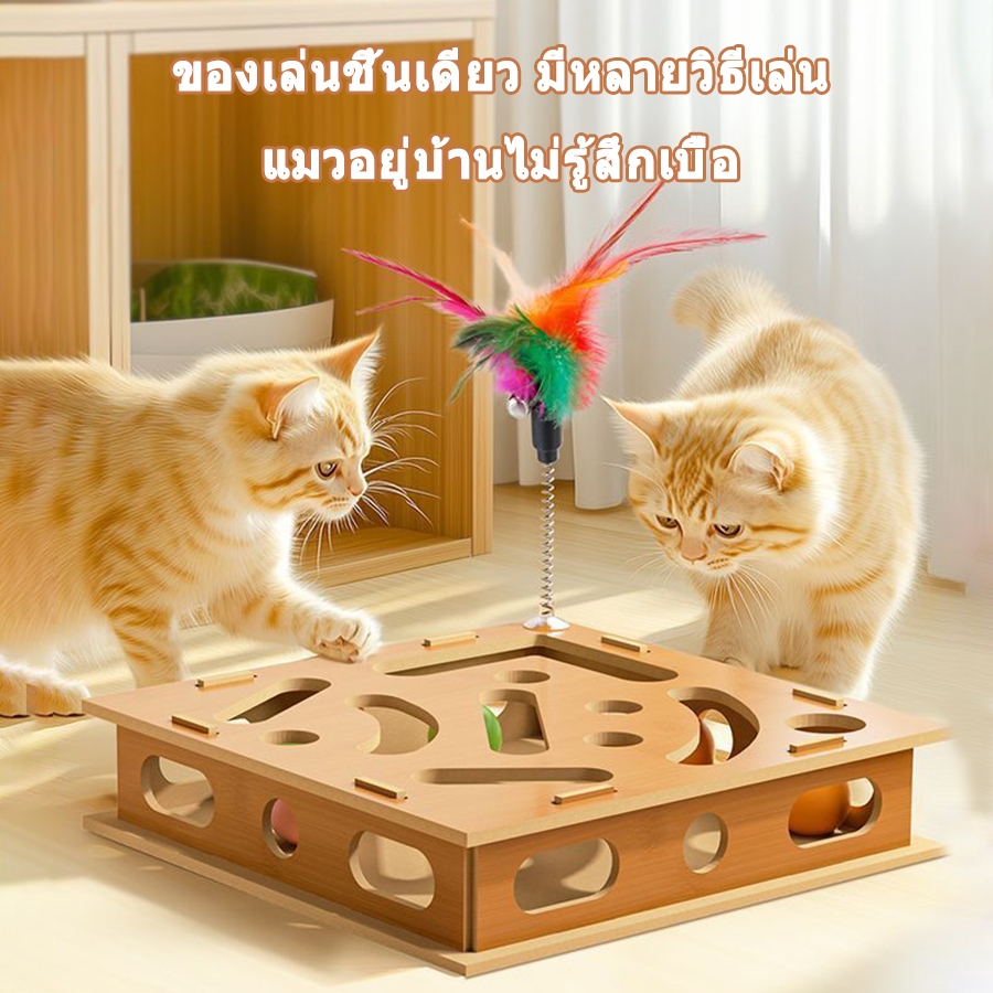 ของเล่นแมว วัสดุแผ่นไม้หนา ของเล่นปริศนาแมว สัตว์เลี้ยงปริศนาเขาวงกต ของเล่นแมว กล่องปริศนาแมว ไม้ตกแมว ของเล่นเเมว - ภาพที่ 5