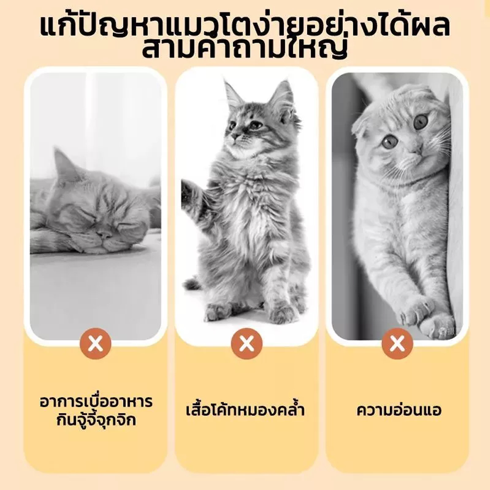 PETLUSCI ฟรีซดรายแมว 50G รสชาติต่างๆ อกไก่ ไข่แดง หญ้าแมว หอม ทานง่าย อุดมไปด้วยโปรตีน ขนมแมว ขนมหมา - ภาพที่ 5