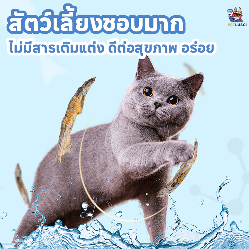 [พร้อมส่ง] ขนมแมว ปลาแห้ง โปรตีนสูง ไม่เค็ม ปลอดภัยต่อไต เกรดคนกินได้ สดใหม่ ไม่ใส่สารกันเสีย 50/100/150g - ภาพที่ 6