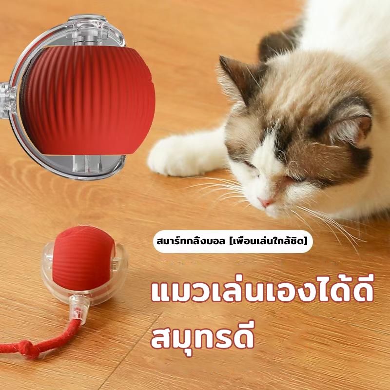 [BDS]ของเล่นแมว ลูกบอลแมว อัติโนมัติ หมุนได้ 360° โต้ตอบ เรืองแสง การชาร์จ USB ลูกบอลฝึกสุนัขและแมว ลูกบอลสัตว์เลี้ยง - ภาพที่ 5