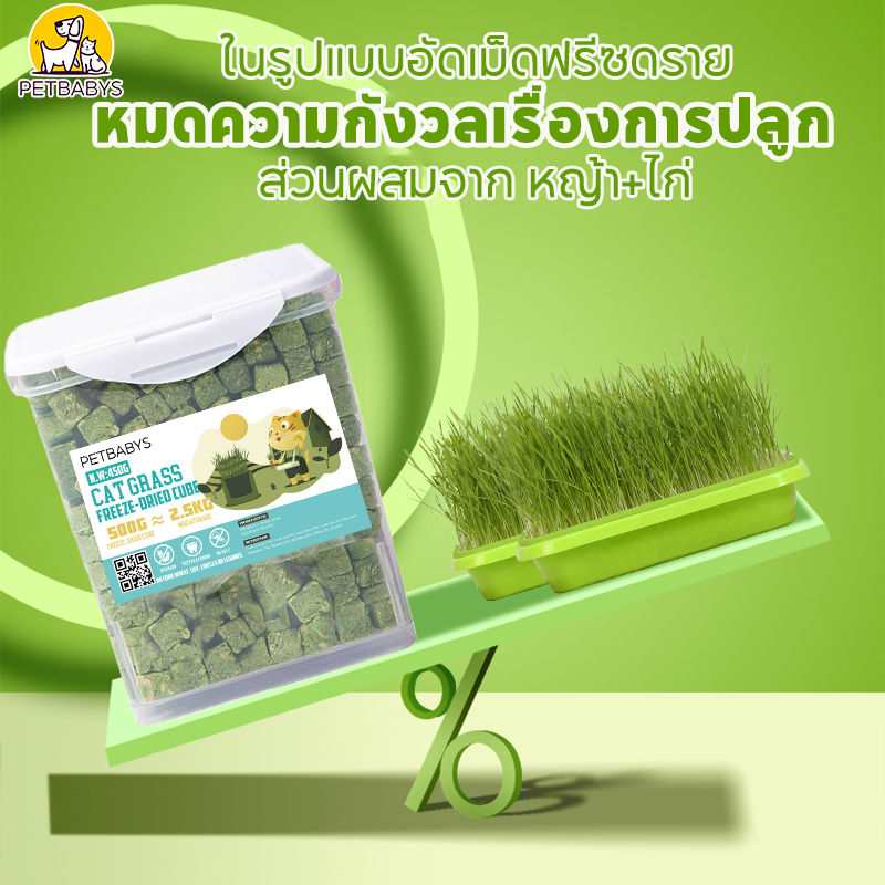 PETBABYS หญ้าแมวฟรีซดราย ขนมแมว 640กรัม อกไก่ผสมต้นอ่อนข้าวสาลีฟรีซดราย ลดการสำลักขน โปรตีนสูง - ภาพที่ 3