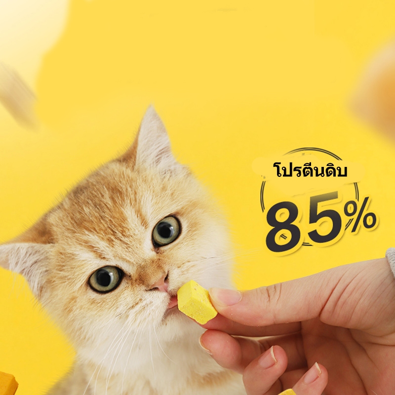 😻🐶อกไก่ฟรีซดราย 100%ฟู้ดเกรด ขนมแมว ฟรีซดรายแมว ไก่ฟรีซดราย ขนมฟรีซดรายแมว ไก่ฟรีซดรายแมว อกไก่เต๋า - ภาพที่ 6