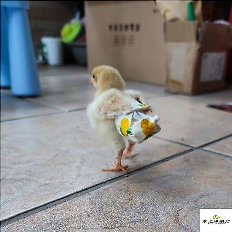 Roupas fraldas fraldas de frango pequenos bolsos de frango Anti-Pull patinhos fraldas fraldas de frango